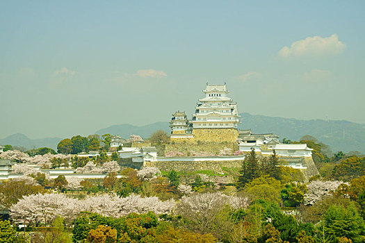 姬路城堡,春天,兵库,日本