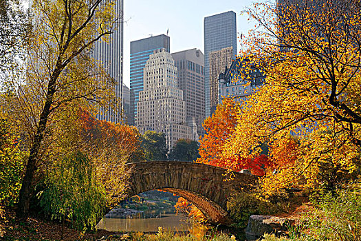 曼哈顿,中央公园,桥,摩天大楼,秋天,纽约