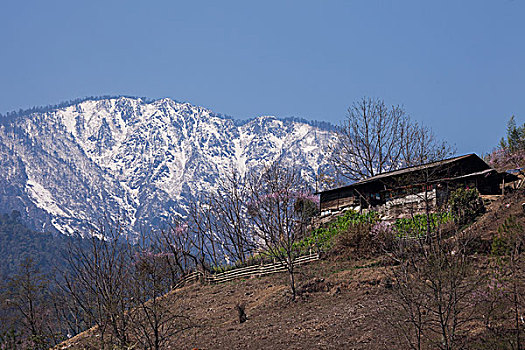 怒江,独龙江,怒江大峡谷,怒江州,东大峡谷,普卡王家村