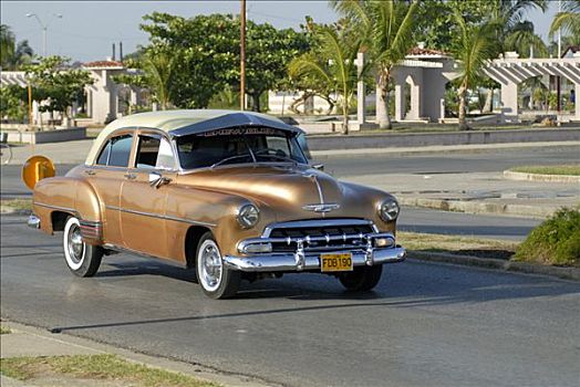 褐色,老爷车,驾驶,街道,西恩富戈斯,古巴,美洲