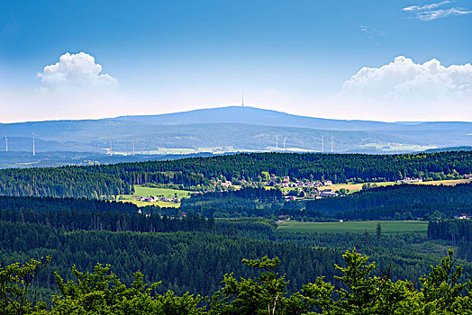 风景,靠近,森林,南方,斐克特高原,树林,上弗兰科尼亚,弗兰克尼亚,巴伐利亚,德国