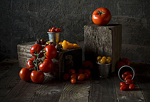 安放,西红柿,多样,尺寸,彩色