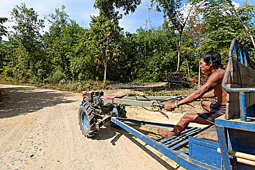 男人,拖拉机,克伦邦,缅甸