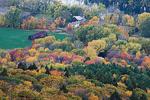 农场,树林,秋天,靠近,康涅狄格,河,马萨诸塞