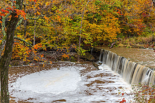 瀑布,溪流,秋天,靠近,印地安那,美国