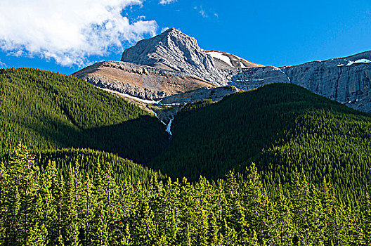 仰视,山,碧玉国家公园,艾伯塔省,加拿大