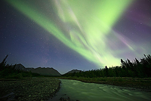 北极光,上方,溪流,育空,加拿大