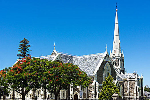 南非,大教堂,索尔兹伯里