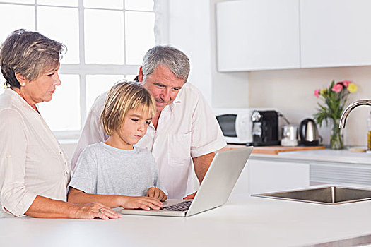孩子,祖父母,看,笔记本电脑,厨房