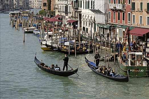 大运河,里亚尔托桥,风景,地区,威尼斯,意大利,欧洲