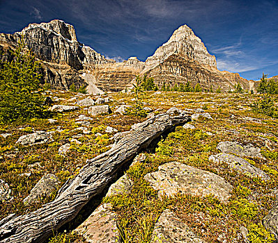 十峰谷,班芙国家公园,艾伯塔省,加拿大