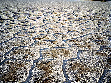 盐,看,干燥,缝隙,荒芜,阿根廷,边界