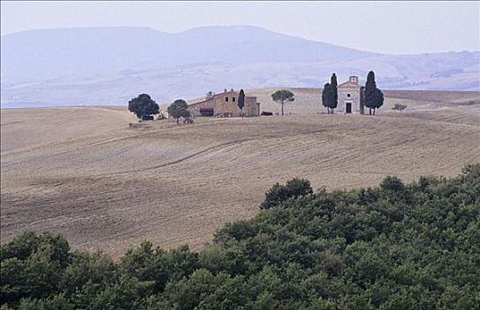 孤单,房子,小教堂,托斯卡纳,靠近,皮恩扎,意大利