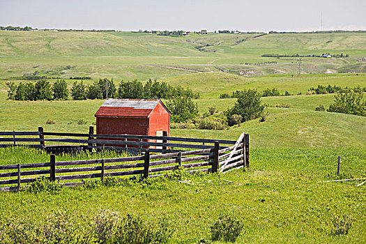 草场,土地,红色,小屋,围栏,区域,艾伯塔省,加拿大