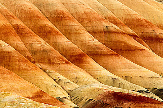 画岭,约翰时代化石床国家纪念公园,靠近,俄勒冈,美国