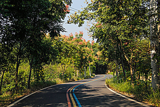 山村道路,天目湖