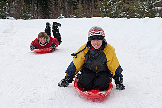美国,佛蒙特州,两个,青少年,男孩,雪橇运动