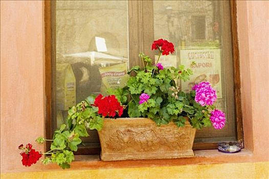 窗台花箱,窗户,房子,锡耶纳省,托斯卡纳,意大利