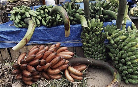 香蕉,市场货摊,泰米尔纳德邦,印度