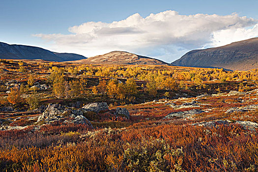 秋天,国家公园,挪威