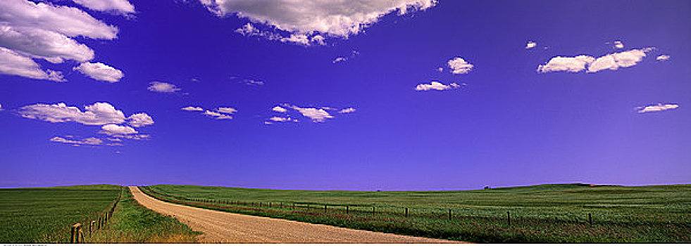 土路,风景,天空,艾伯塔省,加拿大
