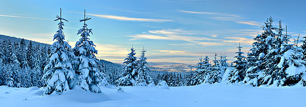 积雪,原生态,冬季风景,哈尔茨山,国家公园,萨克森安哈尔特,德国