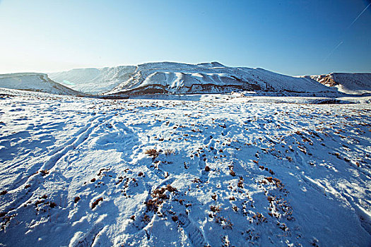 雪地,新疆,西北,冬季