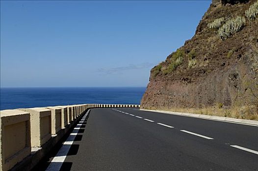 海岸,道路,靠近,海洋,特内里费岛,加纳利群岛,西班牙