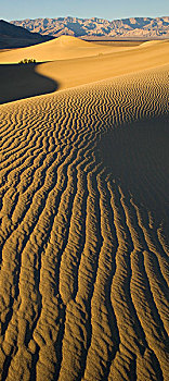 沙丘,波纹,早晨,亮光,落下,靠近,炉子,区域,死谷,加利福尼亚