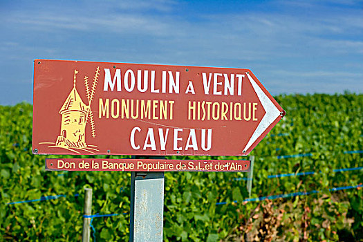 地窖,标识,葡萄园,博若莱葡萄酒,酒乡,罗纳河谷,法国