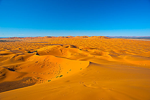 沙丘,却比沙丘,南方,摩洛哥,非洲