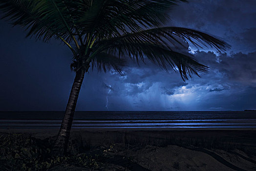 雷暴,闪电,上方,海洋,椰树,海滩,加勒比岛屿,波多黎各