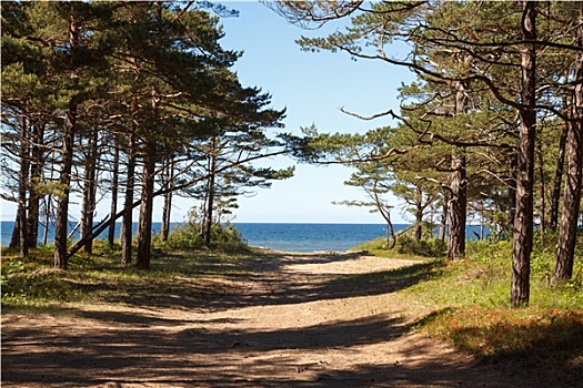 道路,海洋