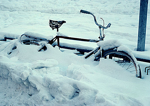 瑞典,自行车,掩埋,雪中