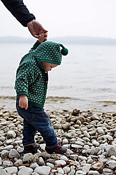 女婴,拿着,父亲,手,踩踏,湖岸,鹅卵石,施塔恩贝格湖,巴伐利亚,德国