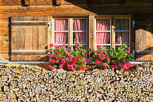 一堆,木柴,花箱,窗,山,木房子,瑞士