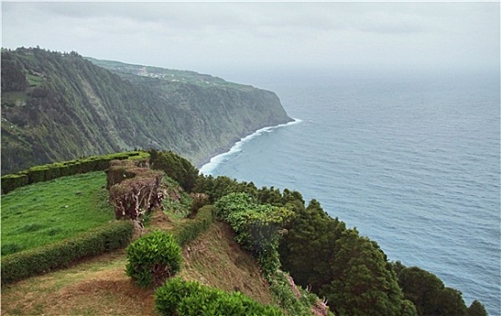 沿岸,风景,亚速尔群岛