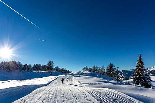 小屋,高海拔,滑雪轨迹,冬天,小路,积雪,冬季风景,逆光,滑雪,区域,萨尔茨堡,陆地,奥地利