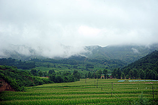 承德,原野,阴天,田野,庄稼地,山区