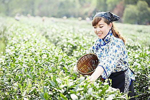 亚洲人,漂亮,女孩,种植园