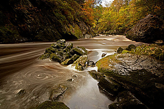 威尔士,秋天,淡水,溪谷,仙女,雪墩国家公园