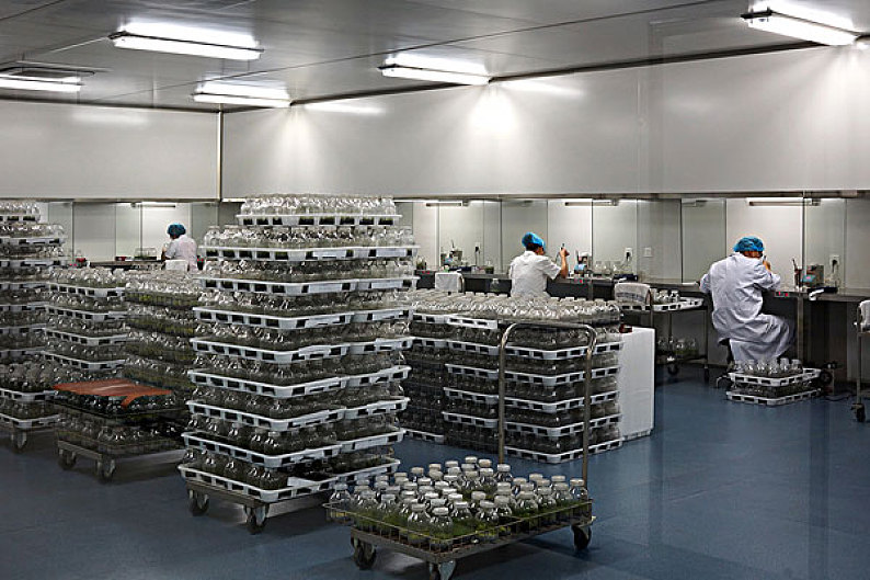 试剂有效期期一般怎么规定？等4个实验室问题的典型答案