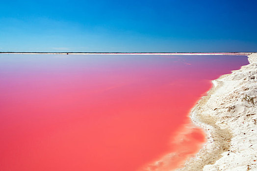 红色,泻湖,盐,制作