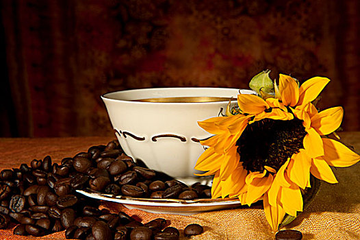 杯子,咖啡豆,向日葵,彩色背景