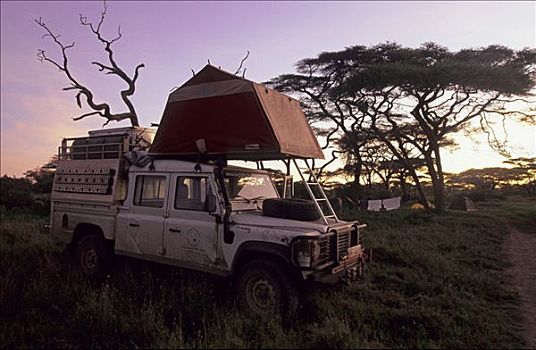 露营,路虎,靠近,湖,塞伦盖蒂国家公园,坦桑尼亚