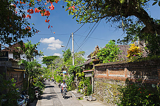 道路,房子,乌布,巴厘岛,印度尼西亚,亚洲