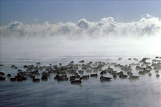 安大略湖,加拿大