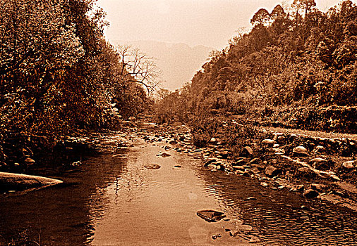河流,荒野,越南