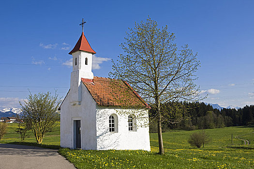 小,小教堂,草场,巴伐利亚,德国