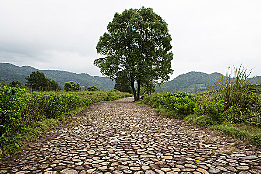 田原风景